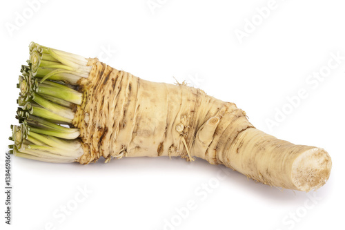 horseradish