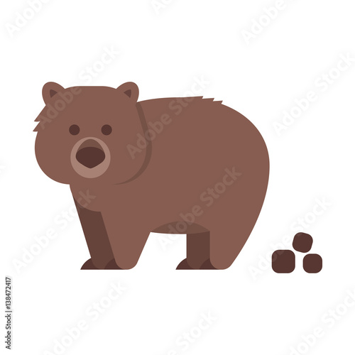 Vector flat style illustration of wombat.