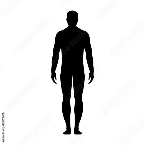 Human front side Silhouette. Isolated on White Background. Vector illustration. photo