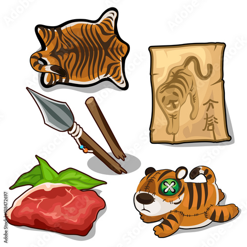 Fototapeta Naklejka Na Ścianę i Meble -  Tiger, weapon, meat, skin. Endangered concept