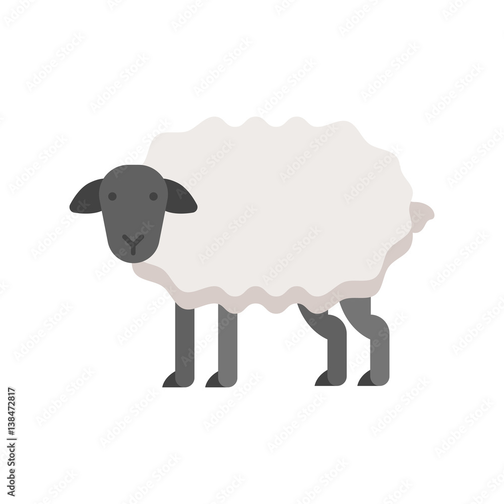 Obraz premium Vector flat style illustration of sheep.