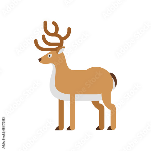 Vector flat style illustration of deer