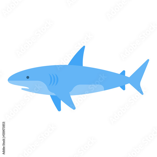 Vector flat style illustration of white shark. 