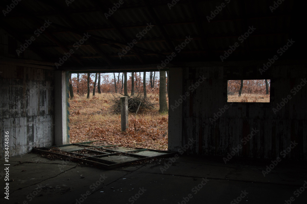 Fototapeta premium Abandoned garage in the forest