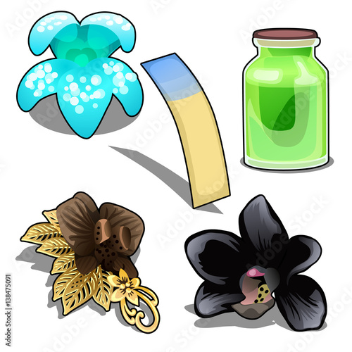 Floral theme, perfume and jewelry. Vector isolated