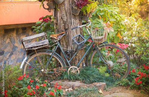 Vintage old bicycle with garden background