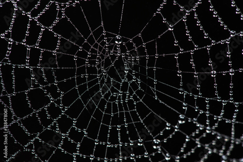Spider web close-up.The shot of the big cobweb close-up, Spiderweb with dew drops © Nuwat