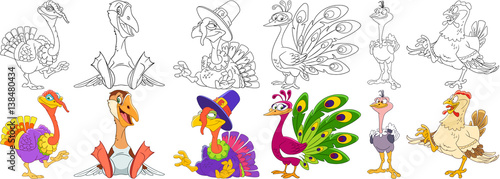 Cartoon animals set. Collection of farm birds. Turkey on Thanksgiving Day, goose (duck), peacock (peafowl), ostrich (emu), hen. Coloring book pages for kids.