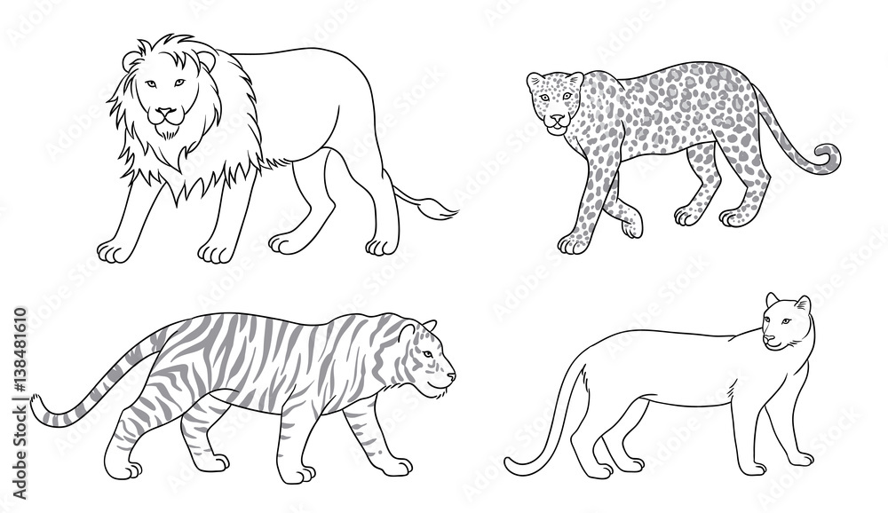 Fototapeta premium Set of vector big cats in contours