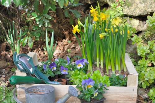 matériel de jardin et fleurs à planter dans cagette