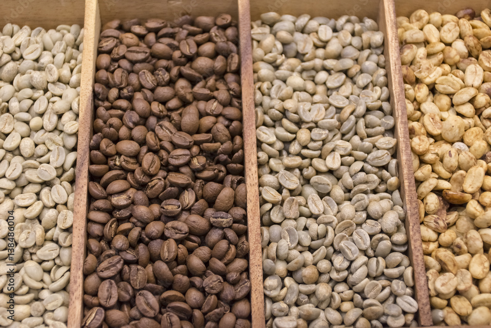 Fototapeta premium close up coffee bean