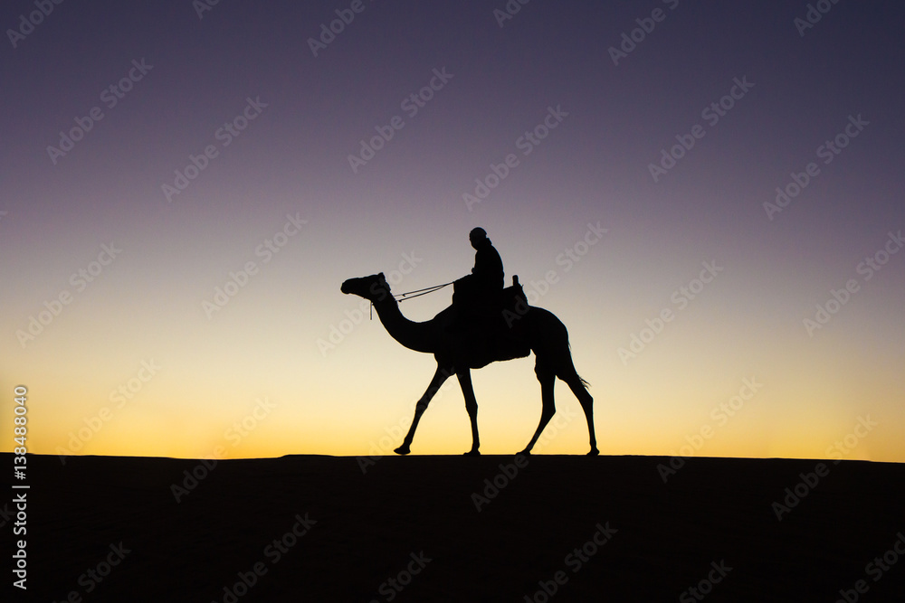 Silhouette of a camel and a cameleer at sunrise. Silhouette of a camel and a cameleer at sunrise.