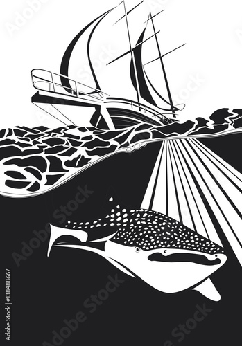 Requin baleine nage sous un bateau