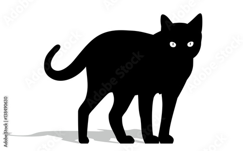 Кот