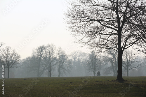 Parklandschaft im Gegenlicht