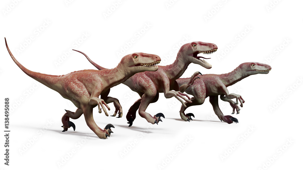 Fototapeta premium pack of Dromaeosaurs, hunting theropod dinosaurs, 3d illustration