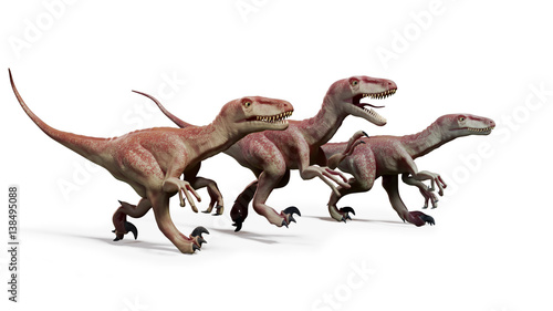 pack of Dromaeosaurs, hunting theropod dinosaurs, 3d illustration