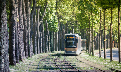 Tram railroad in Brussels. Public transport of the Belgian capital. Tunnel of trees.