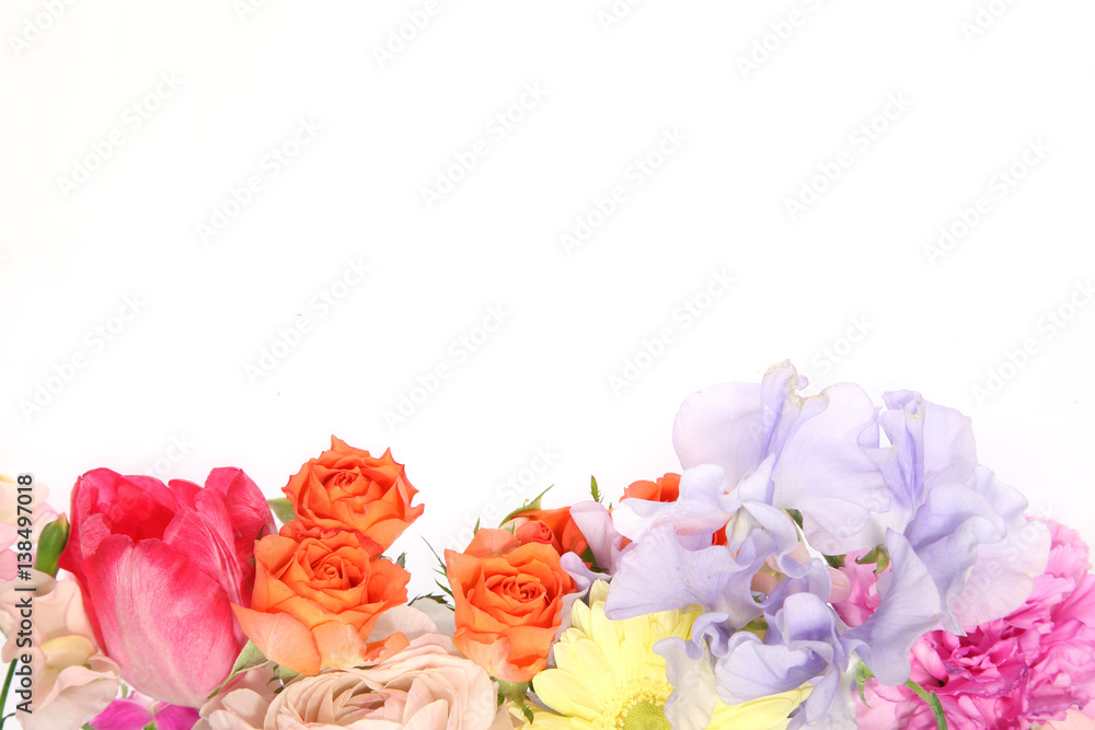 様々な花の背景画像 様々な花の背景画像