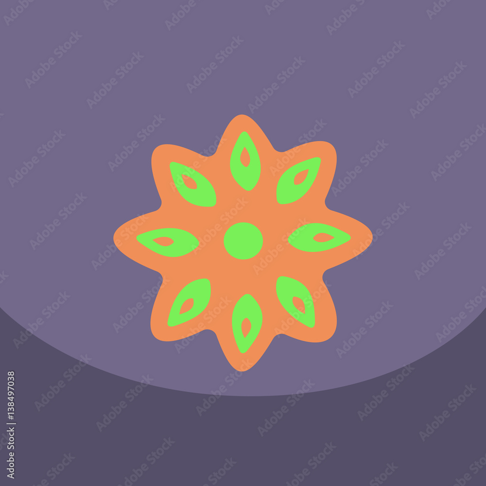Stars of anise isolated on the color background. Vector illustration of kitchen herbs Stars of anise isolated on the color background. Vector illustration of kitchen herbs