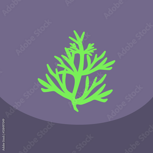 Vector dill illustration on color background. Botanical herbal icon condiment.