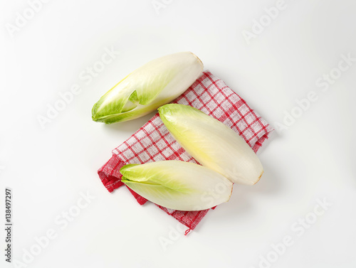 Fotografie fresh Belgian endive