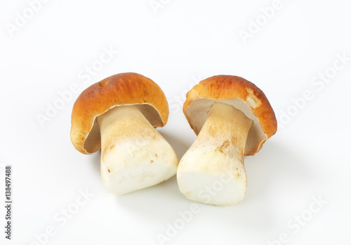 edible bolete mushrooms (ceps)