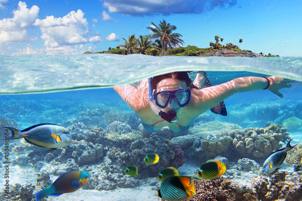 Young woman at snorkeling in the tropical water - obrazy, fototapety, plakaty 