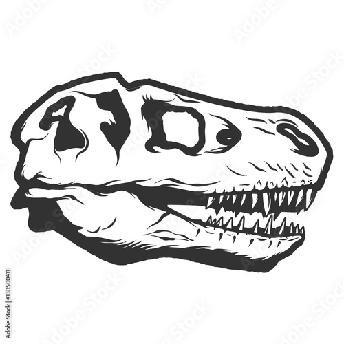 t-rex dinosaur skull isolated on white background. Images for logo, label, emblem. Vector illustration.