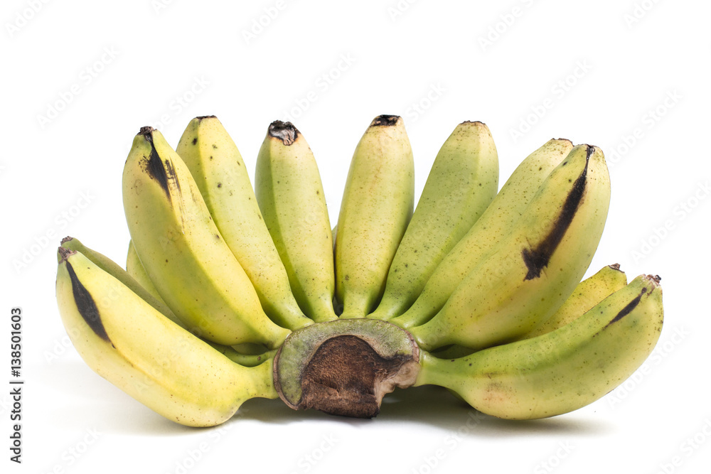 Lady Finger Banana Ouro. Lady Finger Banana Ouro.