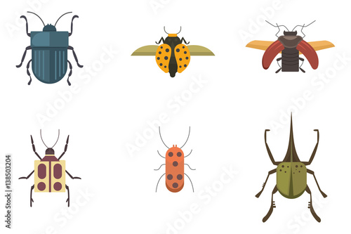 Set of insects flat style vector design icons. Collection nature beetle and zoology cartoon illustration. Bug icon wildlife concept © denis08131