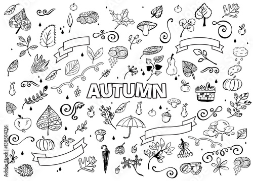 Vector set of Different Hand Drawn Autumn Design Elements. Vector Autumn Doodle Illustration. Autumn Doodles. Coloring book. Leaves, curls, mushrooms, hedgehog, chestnut