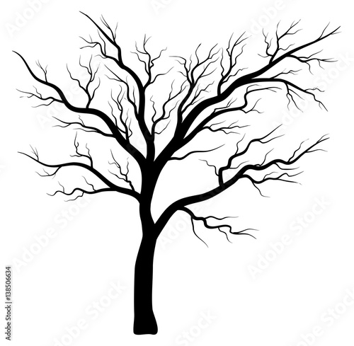 bare tree silhouette vector symbol icon design.