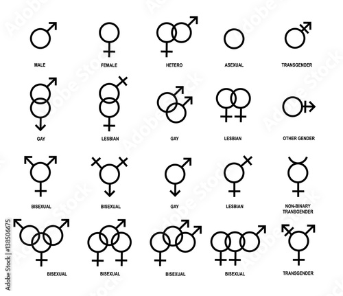 Vector outlines icons of gender symbols photo