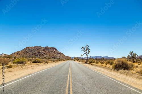 Joshua Tree National Park