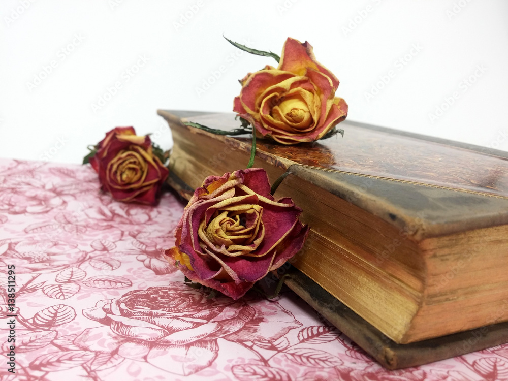 Obraz premium Stillleben aus der antiken Bibliothek