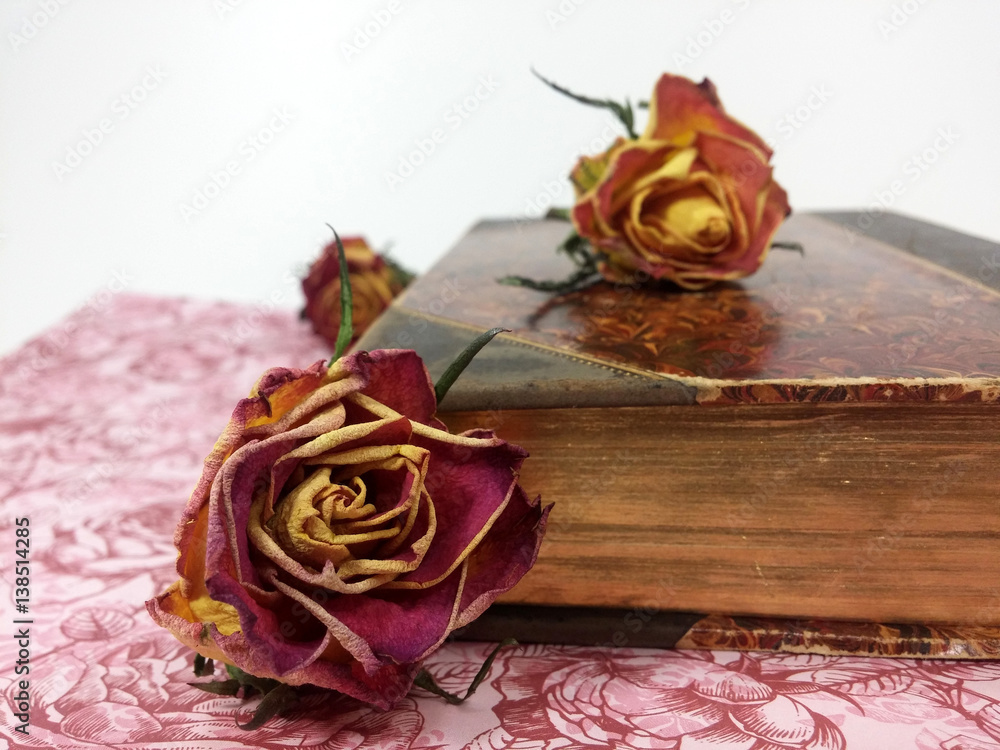 Obraz premium Stillleben aus der antiken Bibliothek