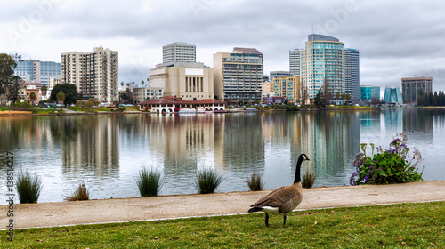 Oakland California Lake Merritt with a view of the skyline and a Canadian goose in the foreground