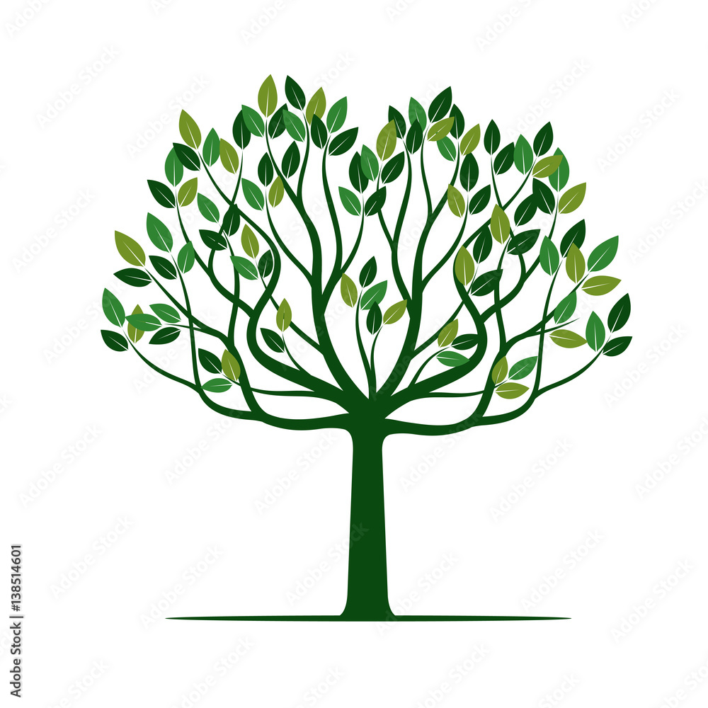 Fototapeta premium Green Tree with Leafs. Vector Illustration.