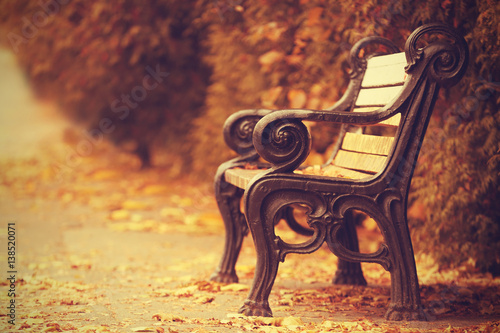Vintage bench in beautiful autumn park
