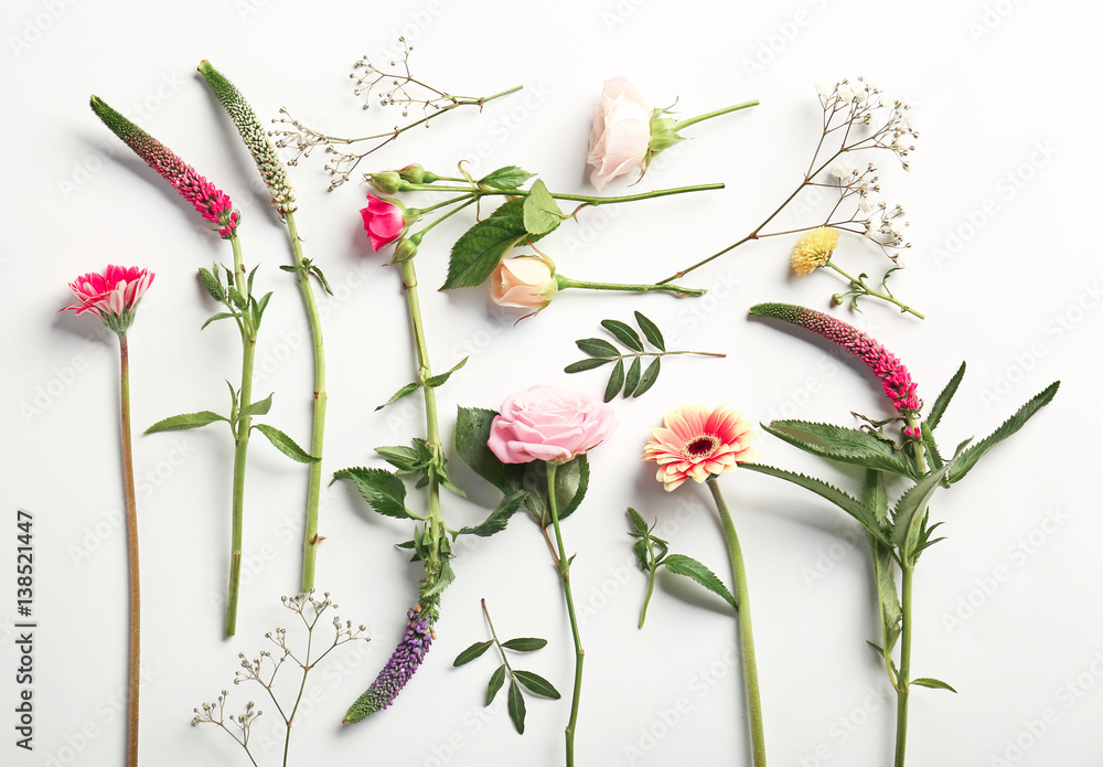 Obraz premium Piękne świeże kwiaty na białym tle