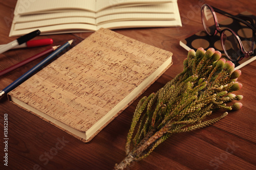 Notebook with plant on wooden table