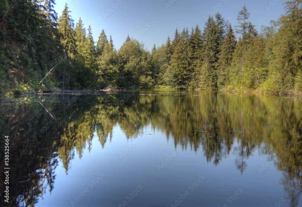 Reflective Lake