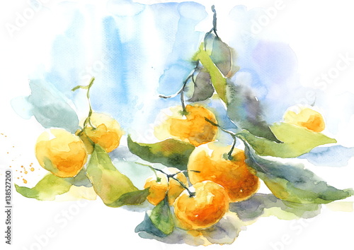 Watercolor Tangerines Still Life Citrus Fruit Illustration Hand Drawn