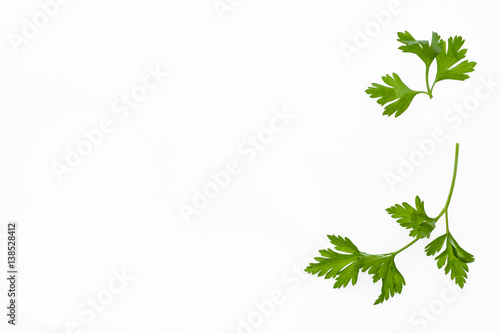 garden parsley leaves with copy space on white background