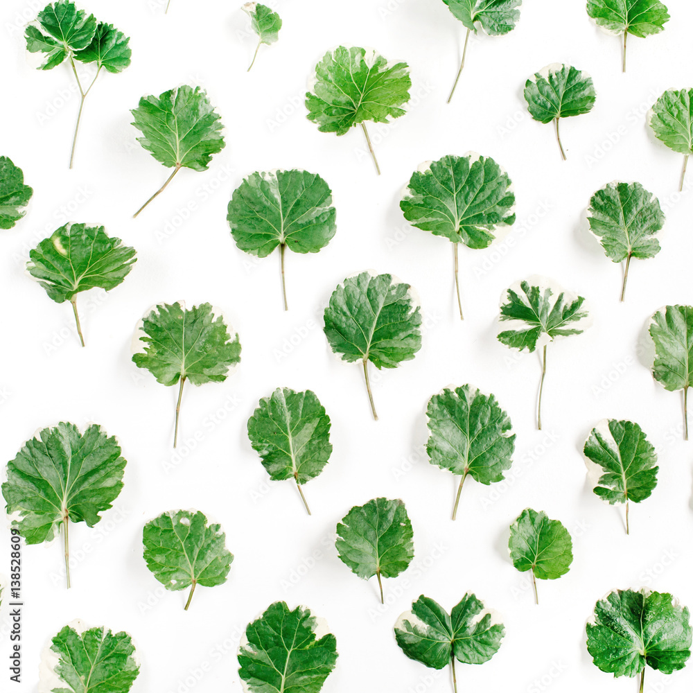 Floral pattern made of green leaves, branches on white background. Flat lay, top view. Leaf pattern texture. Floral pattern made of green leaves, branches on white background. Flat lay, top view. Leaf pattern texture.