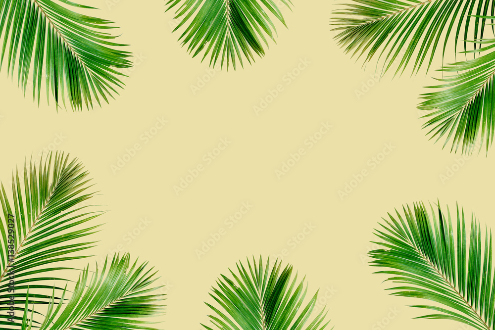 Tropical exotic palm branches frame isolated on yelow background. Flat lay, top view, mockup.