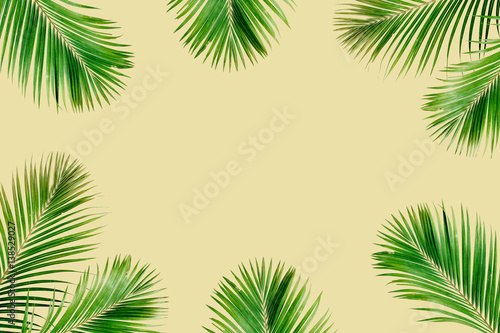 Tropical exotic palm branches frame isolated on yelow background. Flat lay, top view, mockup. © Floral Deco