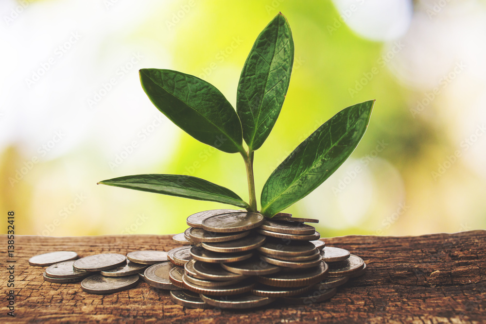 The business growth, Profit. The business growth, Profit.