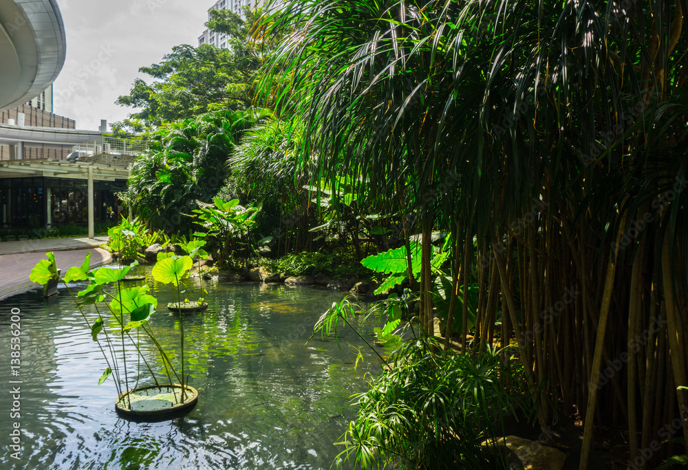 Pond for Koi fish with water lily and bushes surrounding the pond photo taken in Central Park Mall Jakarta Indonesia Pond for Koi fish with water lily and bushes surrounding the pond photo taken in Central Park Mall Jakarta Indonesia